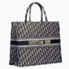 Dior Book Tote Bag In Blue Oblique Canvas.