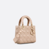 SMALL LADY DIOR MY  BAG Aesthetic Beige.